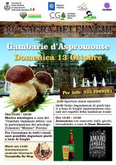 33° SAGRA DEI FUNGHI - GAMBARIE D' ASPROMONTE 